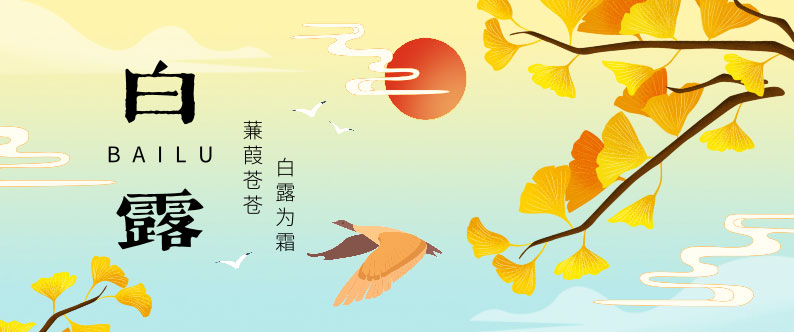白露,節(jié)氣